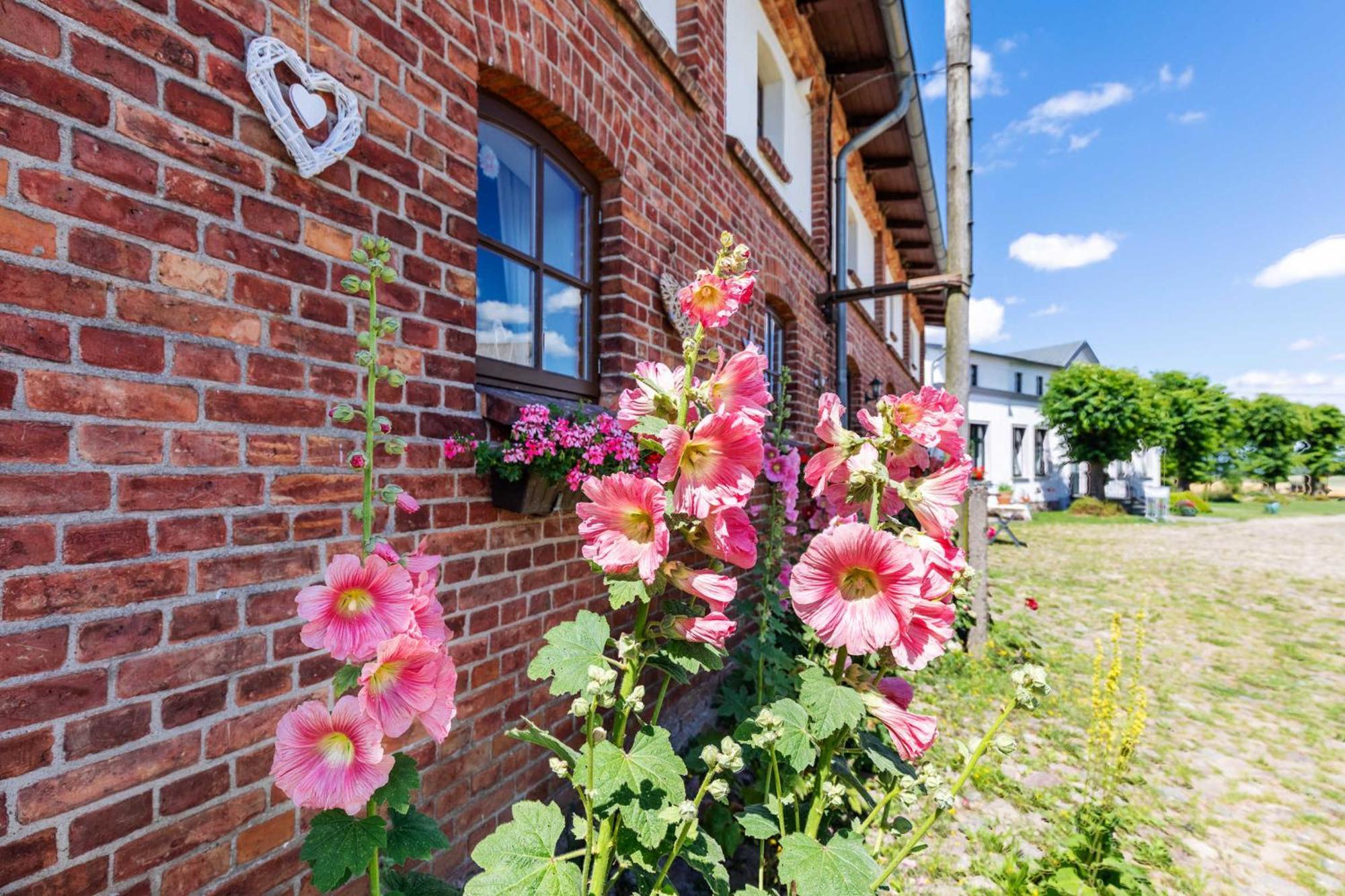 Ostsee Bauernhof Schwalbennest Ofc 15 Steffenshagen Экстерьер фото